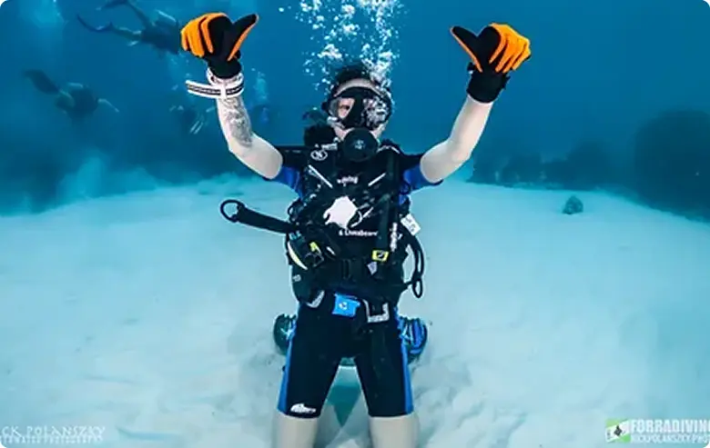 Exploring the Red Sea World