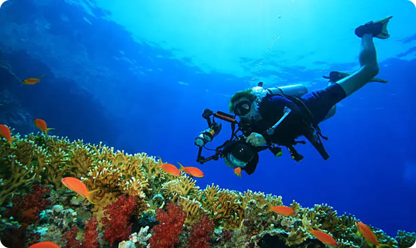 Exploring the Red Sea World