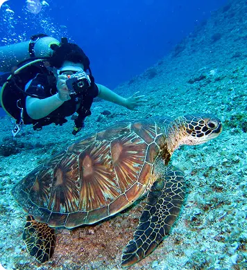 Discover Scuba Diving