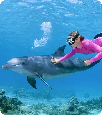 Diver with dolphin
