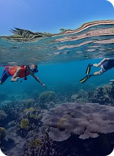 Snorkeling Dive